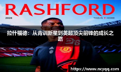 im电竞官网入口