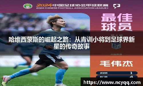 im电竞官网入口