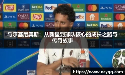im电竞平台官网