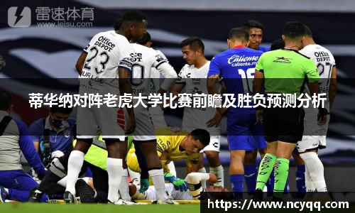 im电竞官网入口