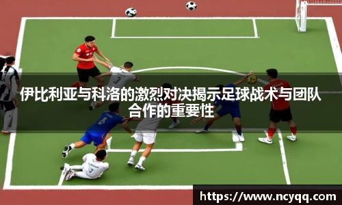 im电竞平台官网