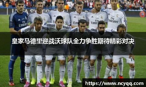 im电竞平台官网