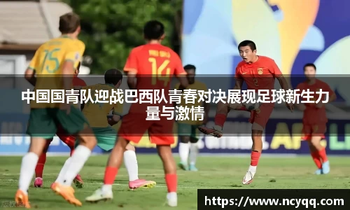 im电竞平台官网