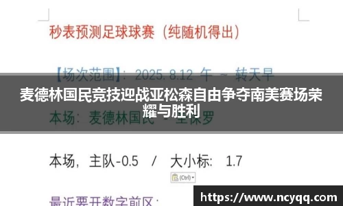 im电竞平台官网
